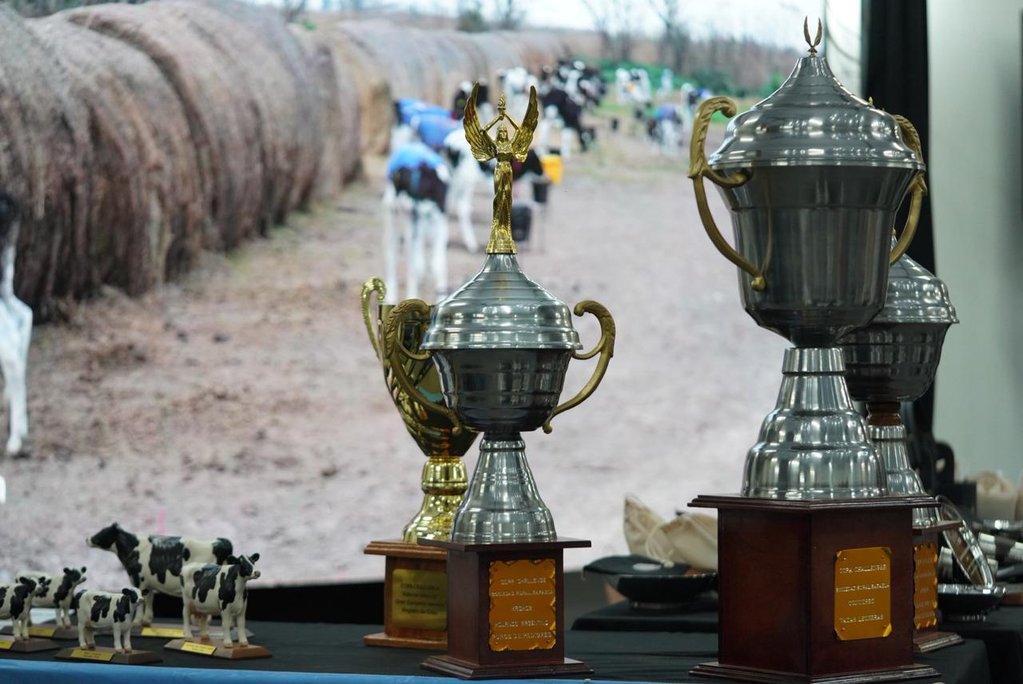 LHUAB se quedó por cuarta vez con la Gran Campeón del Concurso de Vacas a Campo